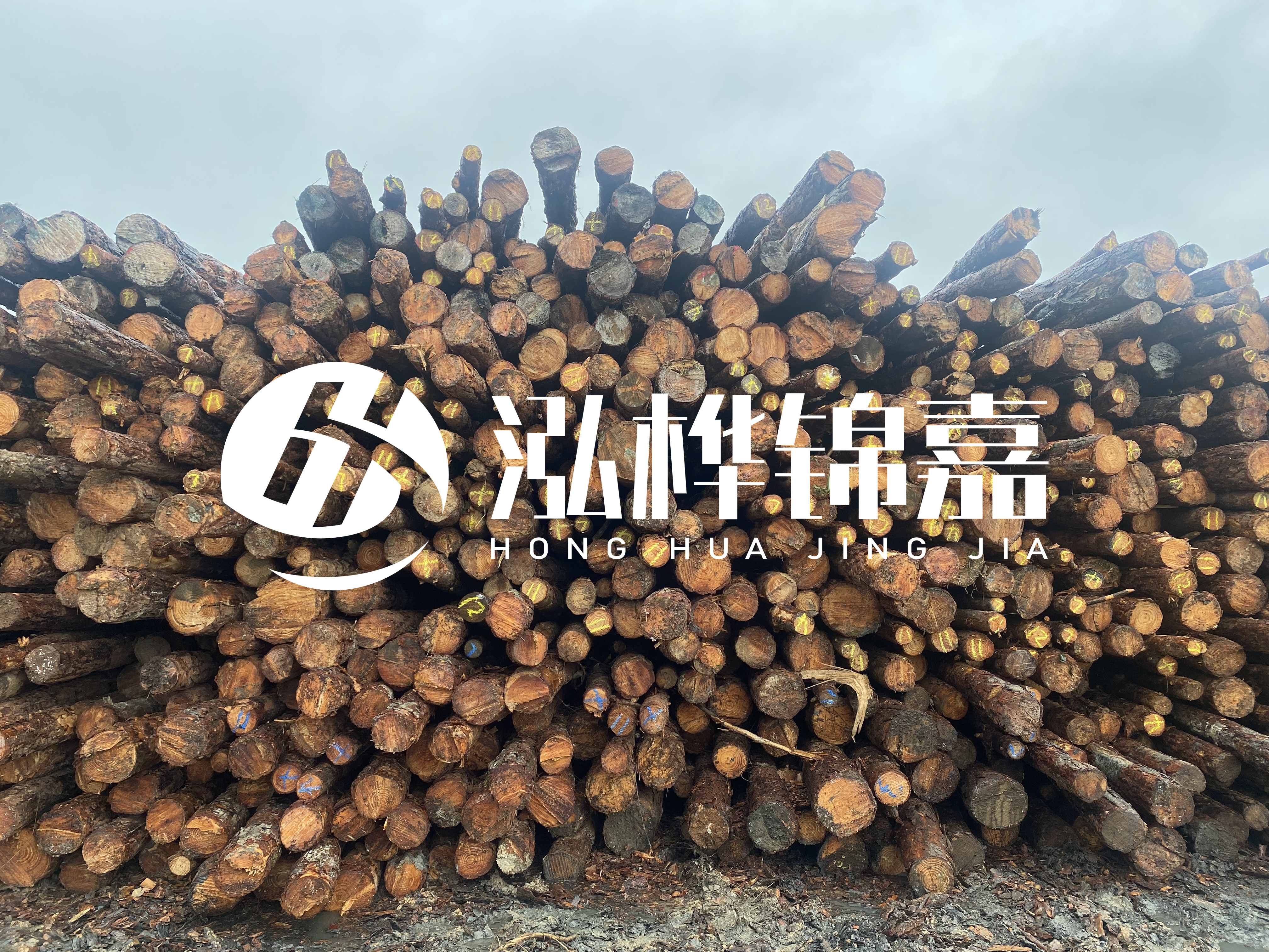 松木樁的直徑一般取多少？