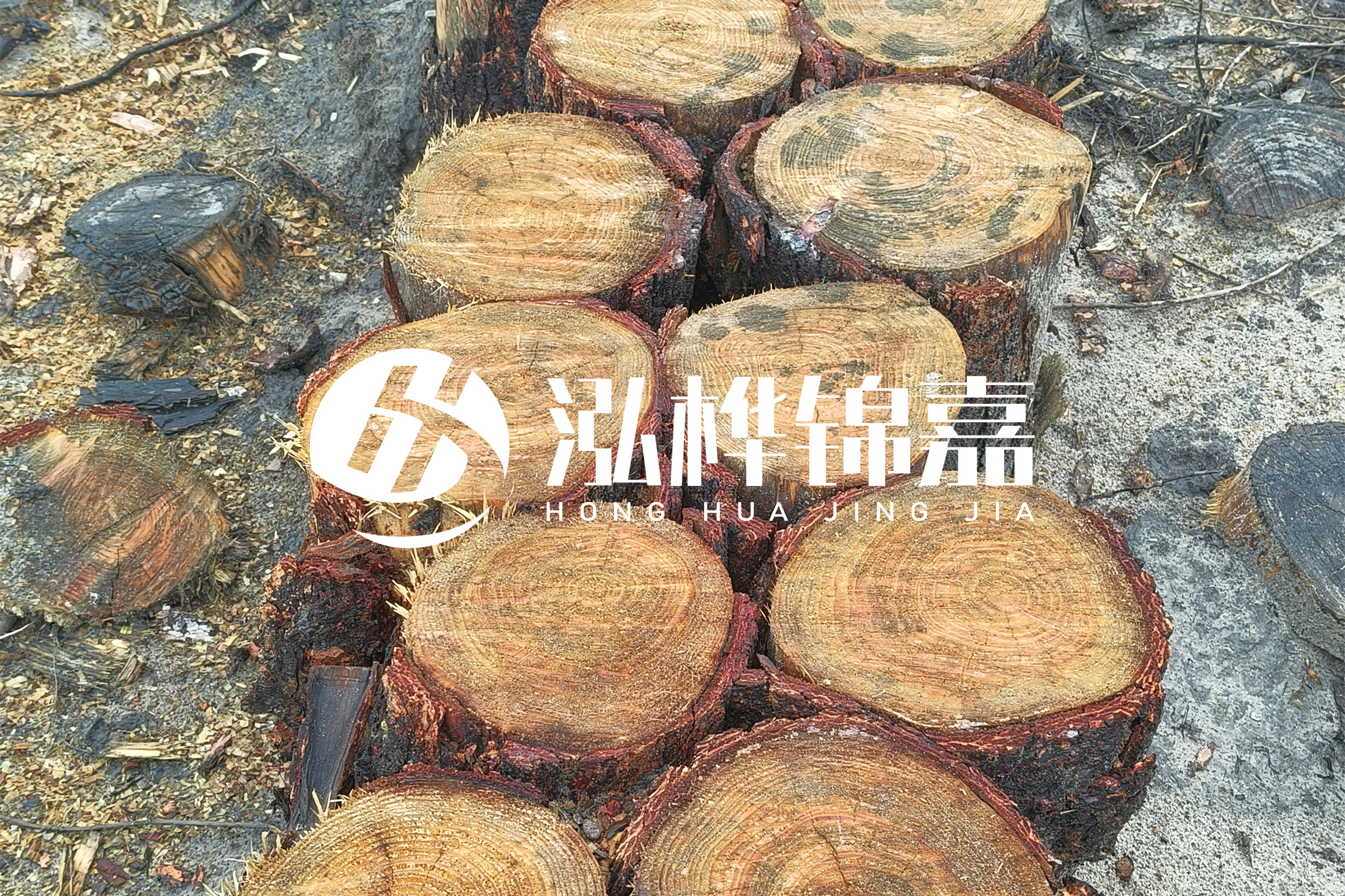 浙江臺(tái)州有清淤的公司嗎？浙江臺(tái)州有清淤施工隊(duì)嗎？