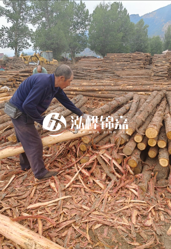 東營(yíng)河道清淤專業(yè)施工隊(duì)-不同型號(hào)挖機(jī)清淤能力對(duì)比？