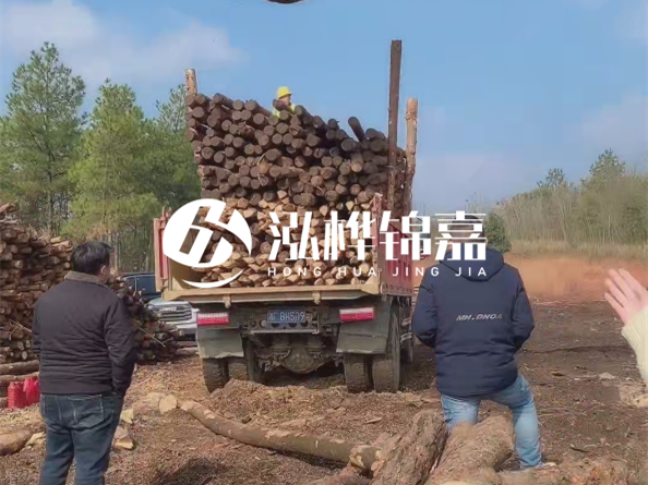 防腐木樁價格比普通木樁貴多少？防腐木樁有哪些處理方式？