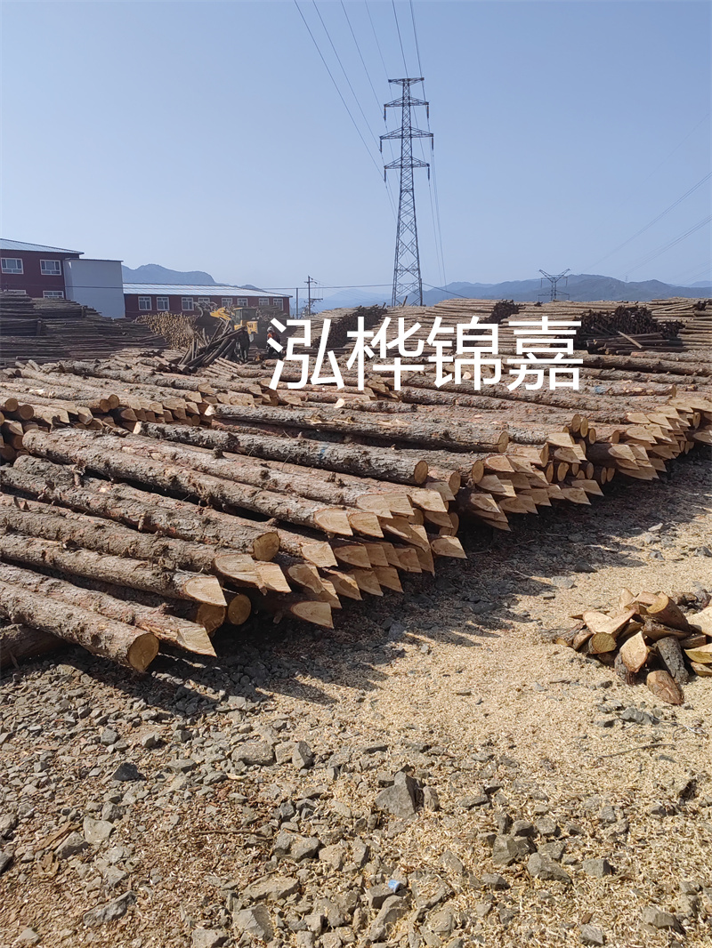 建筑沙桿多少錢一根，選擇合適價(jià)格為您節(jié)省成本