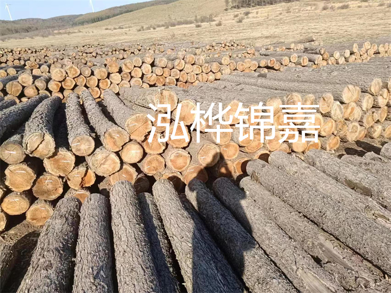 鹽城松木樁河道圍堰施工，保護生態(tài)環(huán)境，打造美麗城市